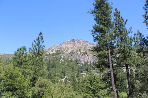 558 Brady Dr, Sierra City, CA 96125