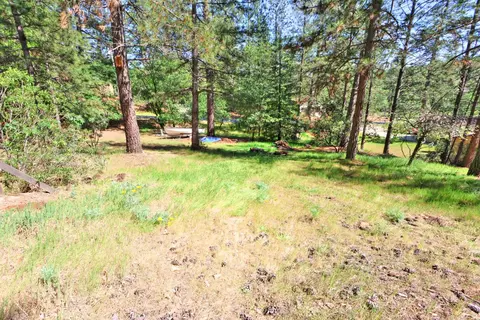 21495 Snooks Rd, Colfax, CA 95713 photo 46