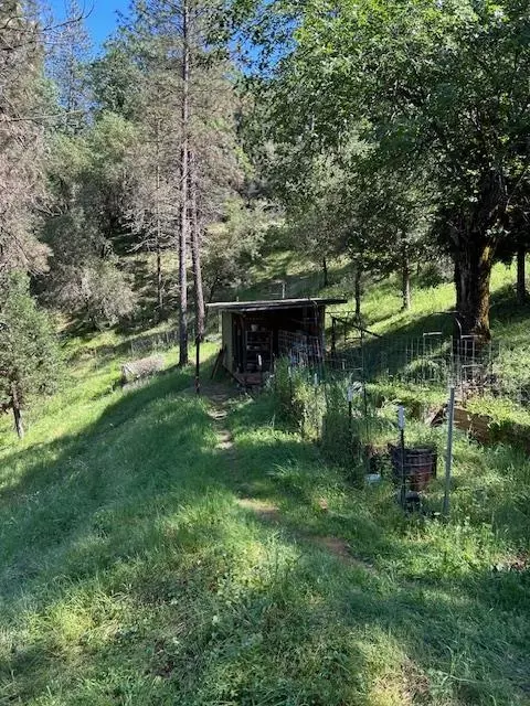 Exterior - 1215 Spring Crest Ct, Placerville, CA 95667 photo 17 of 24