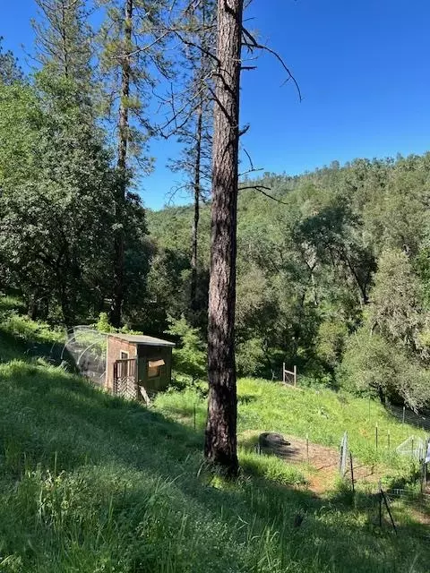 Exterior - 1215 Spring Crest Ct, Placerville, CA 95667 photo 23 of 24