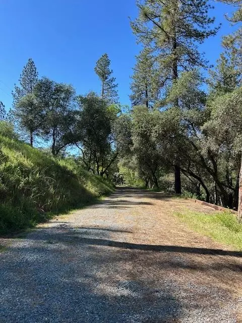 Other - 1215 Spring Crest Ct, Placerville, CA 95667 photo 11 of 20