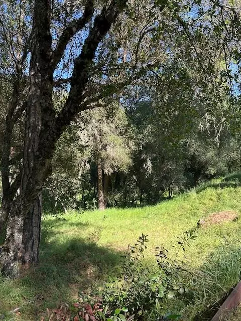 Other - 1215 Spring Crest Ct, Placerville, CA 95667 photo 12 of 20