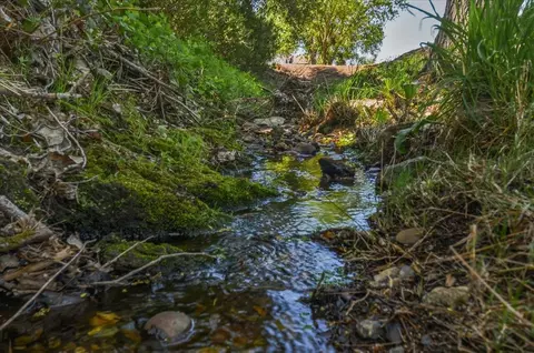 Other - 320 Gopher Flat Rd, Sutter Creek, CA 95685 photo 14 of 14