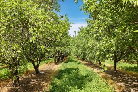 4866 E Roosevelt Rd, Chowchilla, CA 93610 photo 4