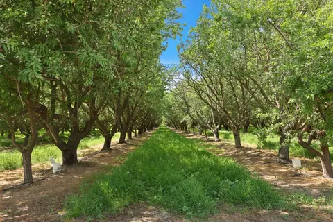 4866 E Roosevelt Rd, Chowchilla, CA 93610 photo 5