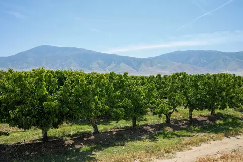 0 Rock Pile, Arvin, CA 93203 photo 22