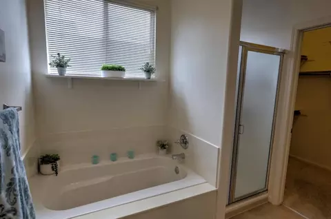 Bath - 3501 Red Maple Dr, Modesto, CA 95355 photo 4 of 4