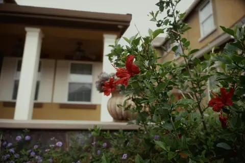 Exterior - 1455 Montauban Ct, Tracy, CA 95304 photo 27 of 27