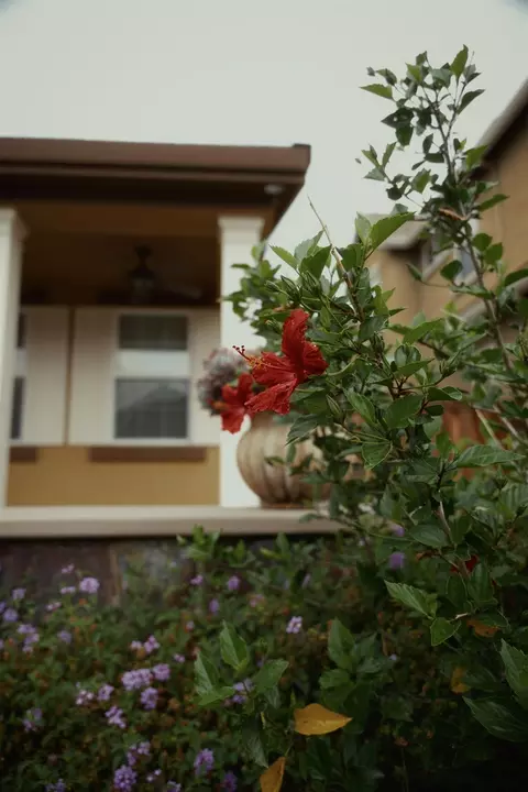 Exterior - 1455 Montauban Ct, Tracy, CA 95304 photo 19 of 27