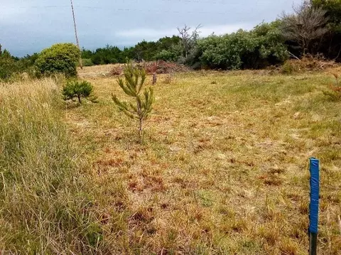 235 Nemeth, Crescent City, CA 95531