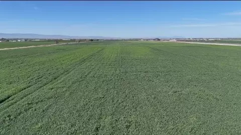 24916 S Manteca Rd, Manteca, CA 95337 photo 16