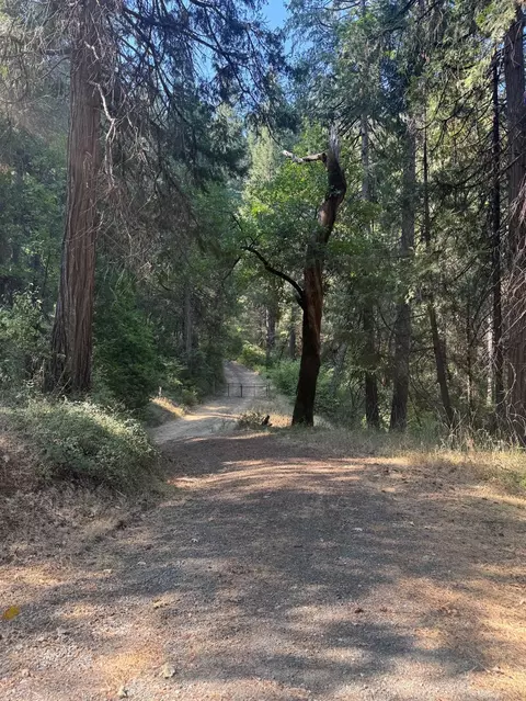 4920 Arctic Ln, Grizzly Flats, CA 95684