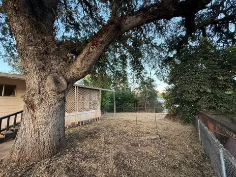 695 Feather Dr, Copperopolis, CA 95228 photo 20