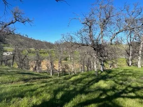 0 Marcella Way, Igo, CA 96047 photo 8