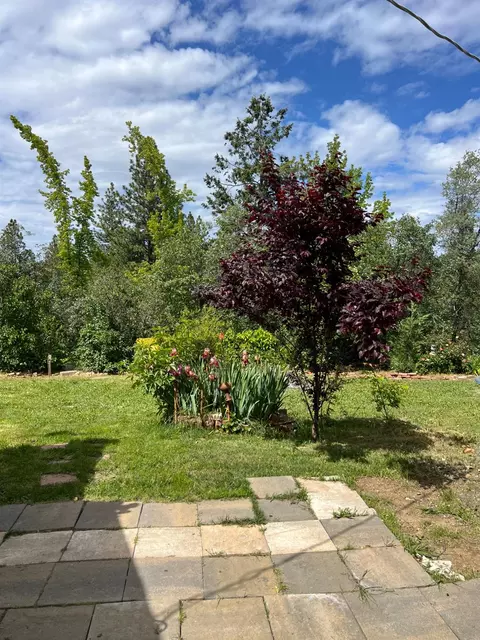 Exterior - 3085 Texerna Ct, Placerville, CA 95667 photo 6 of 15