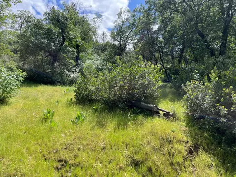 Other - 3085 Texerna Ct, Placerville, CA 95667 photo 8 of 8