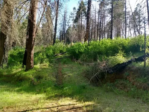 0 Shadow Pine Rd, Mountain Ranch, CA 95246
