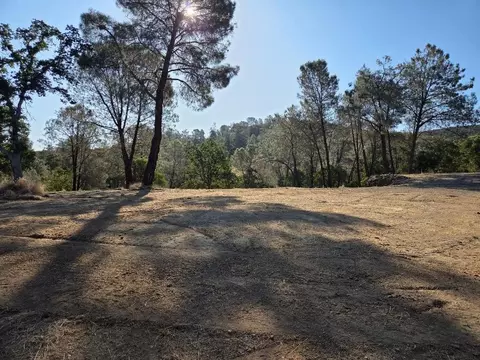 4493 Buckboard Ln, Campo Seco, CA 95226