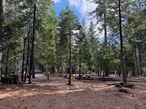 1510 Pawnee Dr, Dorrington, CA 95223