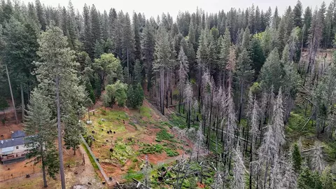 5194 Woodhaven, Grizzly Flats, CA 95636