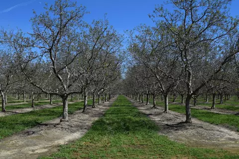 3869 River Rd, Colusa, CA 95932 photo 5