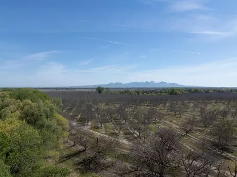 3869 River Rd, Colusa, CA 95932 photo 35