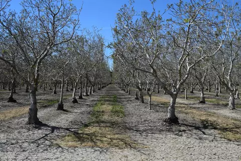3869 River Rd, Colusa, CA 95932 photo 11