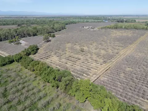 3869 River Rd, Colusa, CA 95932 photo 29