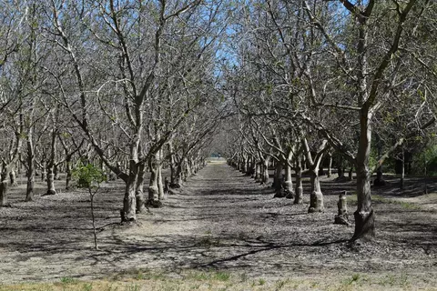 3869 River Rd, Colusa, CA 95932 photo 9