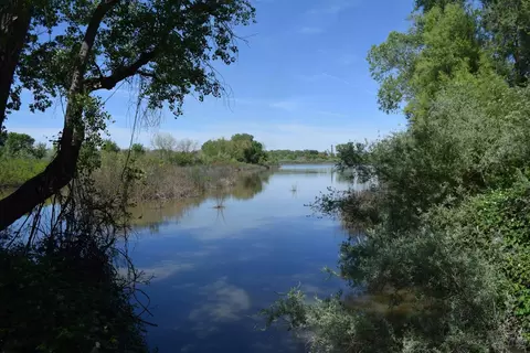 3869 River Rd, Colusa, CA 95932 photo 8