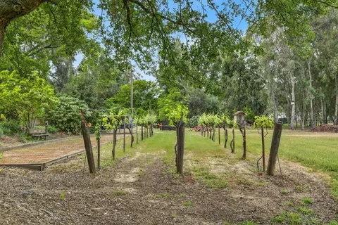 Exterior - 35670 Yellowstone Ave, Davis, CA 95616 photo 9 of 42