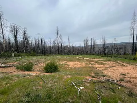 83 Oak Tree Lnae, Berry Creek, CA 95916