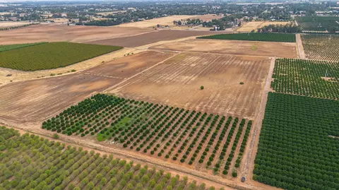 View/Area - 10464 E Herndon Ave, Clovis, CA 93619 photo 12 of 13