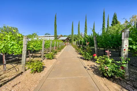Other - 9345 King Rd, Loomis, CA 95650 photo 16 of 29