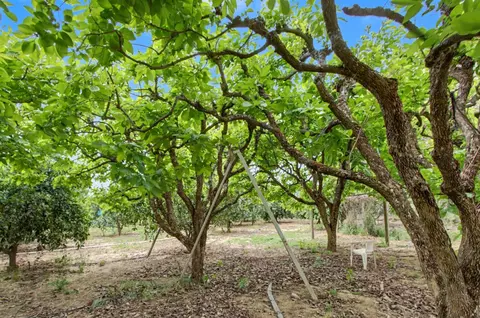 Exterior - 8066 Larkin Rd, Live Oak, CA 95953 photo 9 of 12