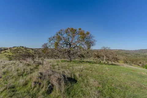 7220 Stony Creek Rd, Jackson, CA 95642 photo 21