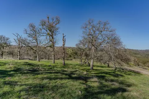 7220 Stony Creek Rd, Jackson, CA 95642 photo 20