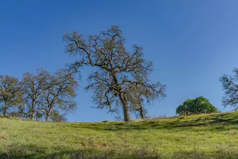 7220 Stony Creek Rd, Jackson, CA 95642 photo 30