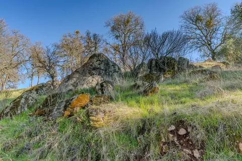 7220 Stony Creek Rd, Jackson, CA 95642 photo 31