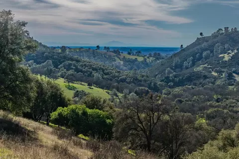 7220 Stony Creek Rd, Jackson, CA 95642 photo 13