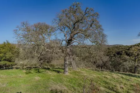 7220 Stony Creek Rd, Jackson, CA 95642 photo 27