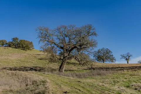 7220 Stony Creek Rd, Jackson, CA 95642 photo 34