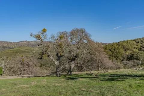 7220 Stony Creek Rd, Jackson, CA 95642 photo 19