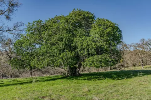 7220 Stony Creek Rd, Jackson, CA 95642 photo 25