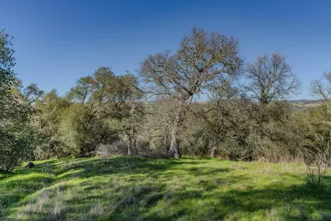 7220 Stony Creek Rd, Jackson, CA 95642 photo 7