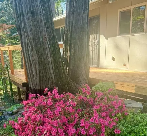 12894 Banner Lava Cap Rd, Nevada City, CA 95959