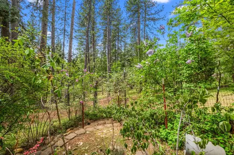Exterior - 4061 Pacific Crest Ct, Placerville, CA 95667 photo 37 of 46