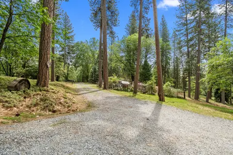Other - 4061 Pacific Crest Ct, Placerville, CA 95667 photo 10 of 11
