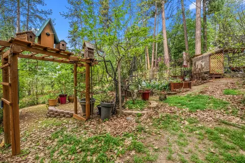 Exterior - 4061 Pacific Crest Ct, Placerville, CA 95667 photo 34 of 46