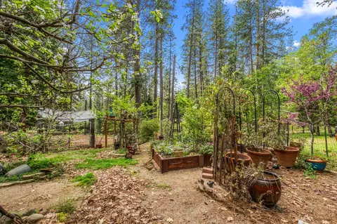Exterior - 4061 Pacific Crest Ct, Placerville, CA 95667 photo 36 of 46